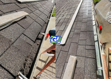 Gutter cleaning